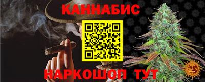 тгк Бийск