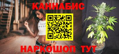тгк Бийск