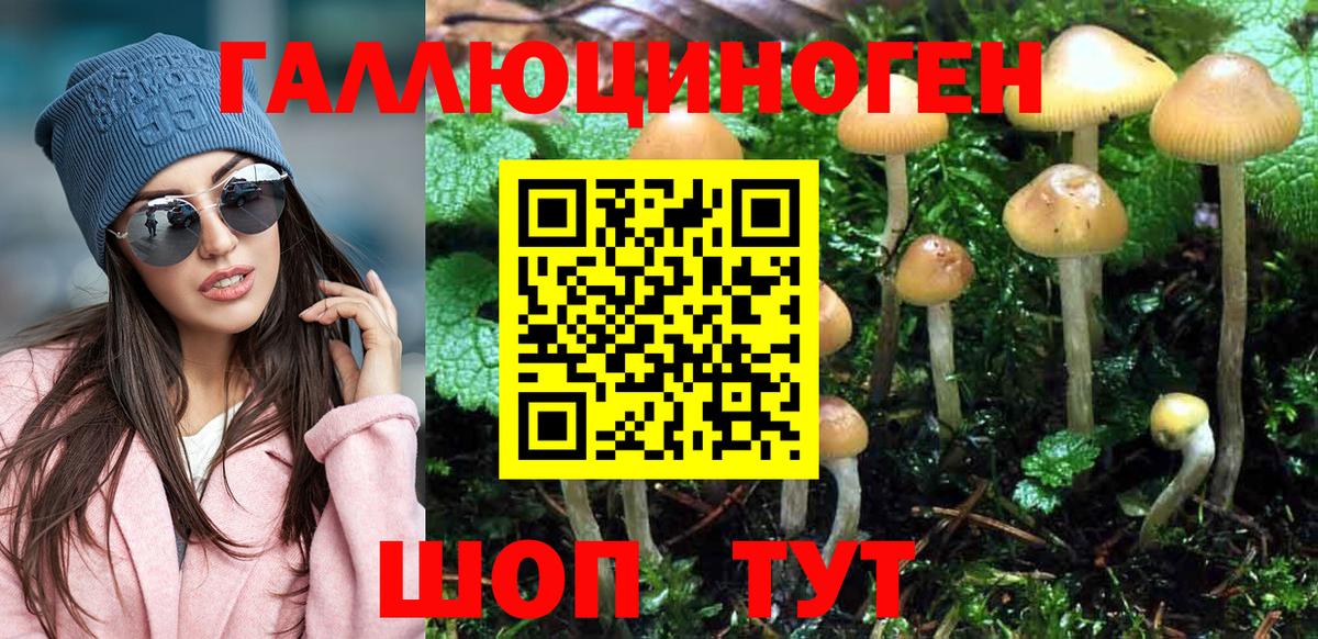 Псилоцибиновые грибы мицелий  Вход с VPN  Зеленогорск 